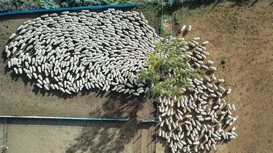 Five reasons to invest in agriculture right now