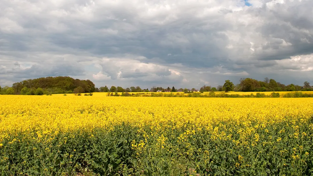 Measuring the impact of Growth Farms acquisitions